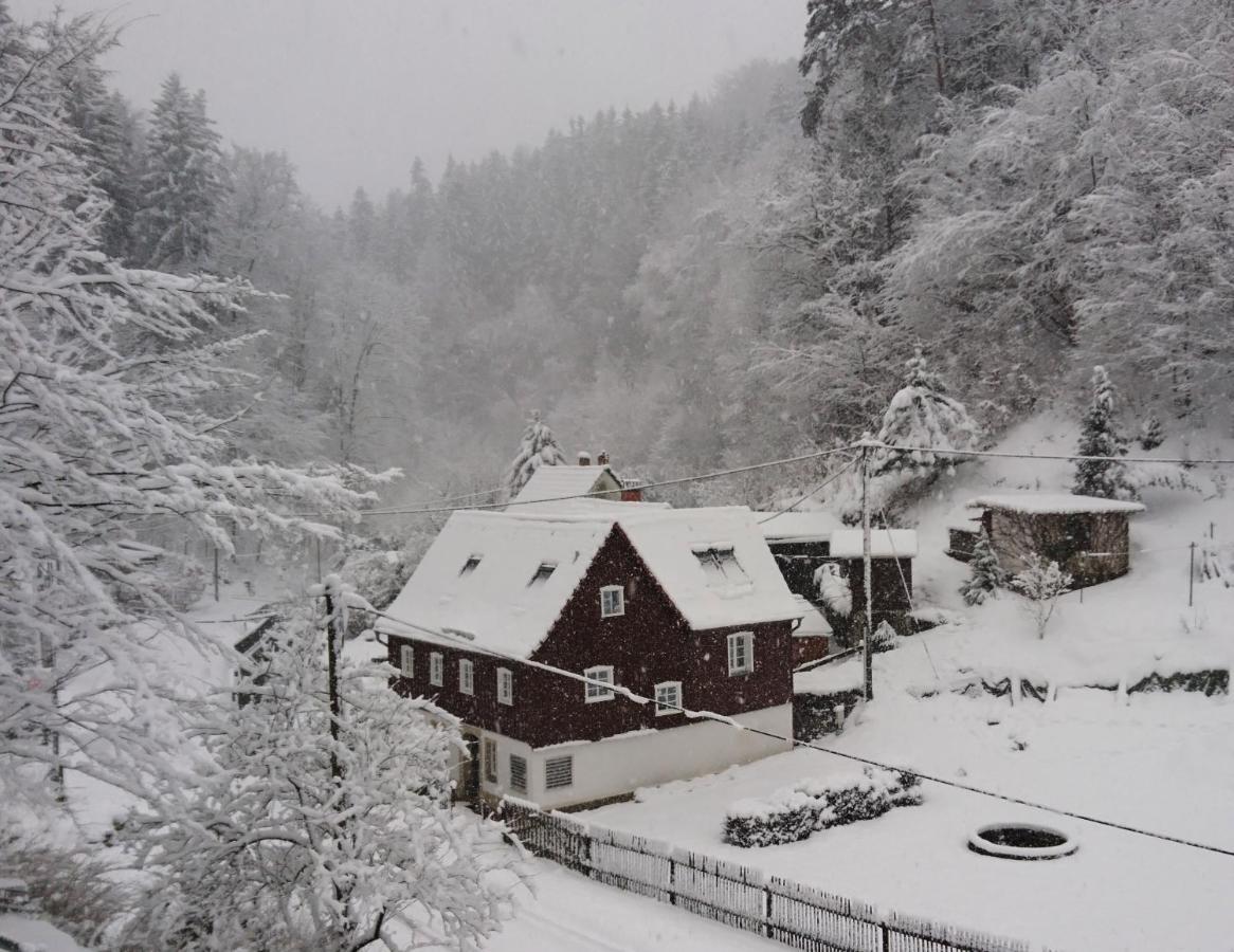 Ferienhaus Bildhauer Thiele Ottendorf  Buitenkant foto